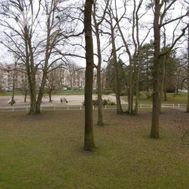 Photo n°5