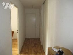Photo n°7