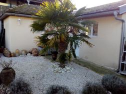 Photo n°1
