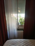 Photo n°4