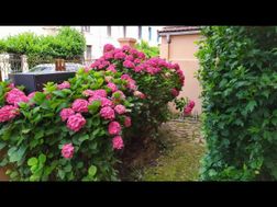 Photo n°6