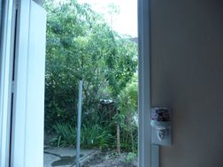 Photo n°6