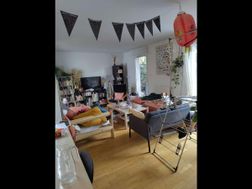 Photo n°3