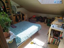 Photo n°3