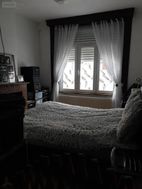 Photo n°5