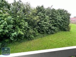 Photo n°5