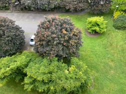 Photo n°2