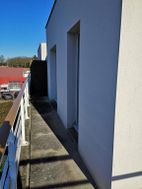Photo n°3