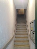 Photo n°6