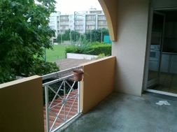 Photo n°6