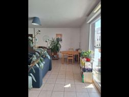 Photo n°3