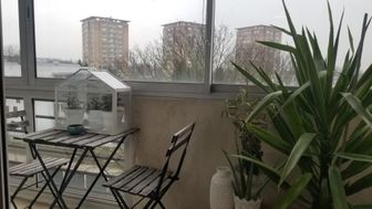 Photo n°4