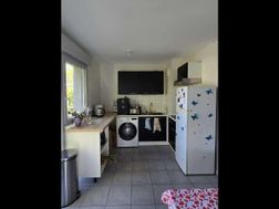 Photo n°1