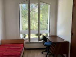 Photo n°1