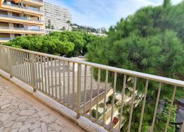 Photo n°11
