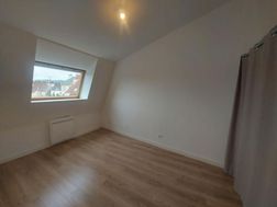 Photo n°4
