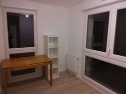 Photo n°6