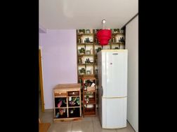 Photo n°8