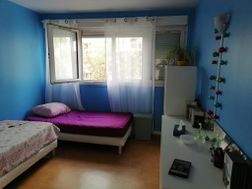 Photo n°6