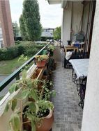 Photo n°3
