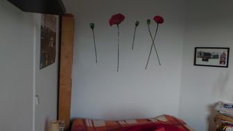 Photo n°3