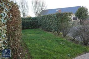 Photo n°4