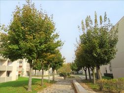 Photo n°6