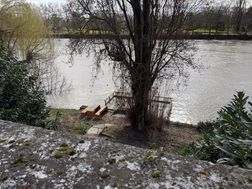 Photo n°5