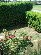 Photo n°2