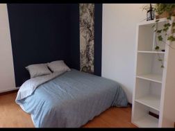 Photo n°3