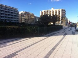 Photo n°4