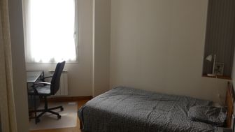 Photo n°5