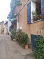 Photo n°1