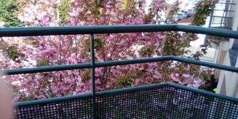 Photo n°4