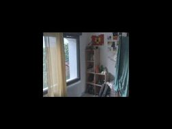 Photo n°6