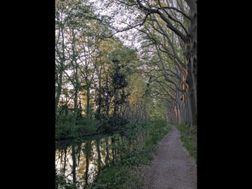 Photo n°9