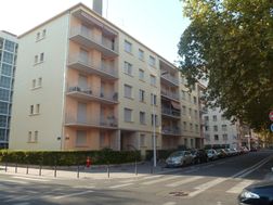 Photo n°8