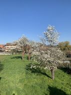 Photo n°2