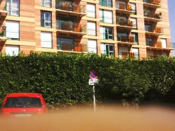 Photo n°1