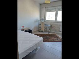 Photo n°1