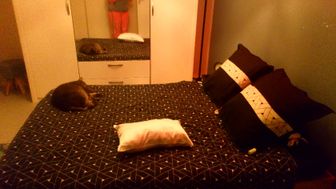 Photo n°5