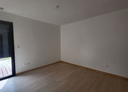 Photo n°6