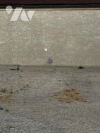 Photo n°5