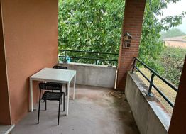 Photo n°6