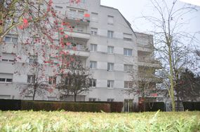 Photo n°1