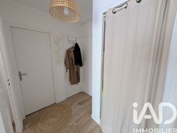 Photo n°6