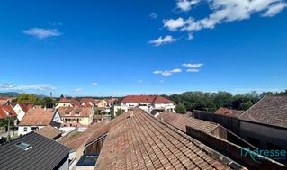 Photo n°6