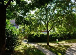Photo n°2