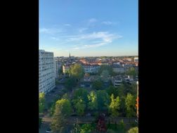 Photo n°5