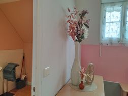 Photo n°6